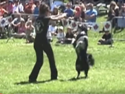 Video spectacle Freestyle canin Rivière du Loup