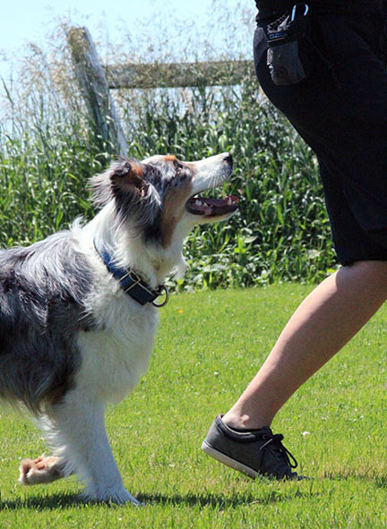 Karyne Millette, maître chien, freestyle canin