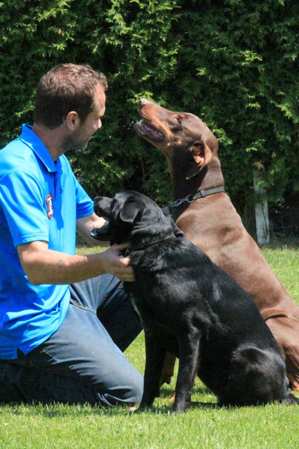 Karyne Millette, maître chien, freestyle canin