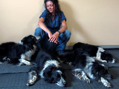 Karyne Milette dresseur de chien en contrôle de ses border collie