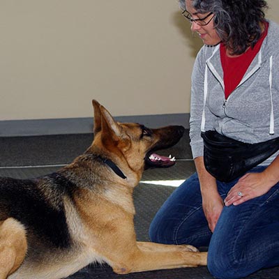 COURS PRIVÉS ÉDUCATION CANINE - chien obéissant couché à côté de son maître