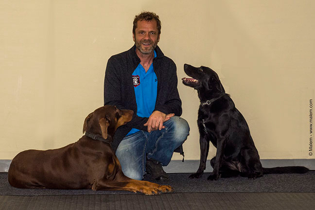 Cours, dressage, centre canin, maître chien à l'oeuvre