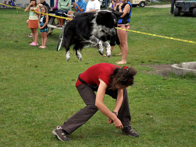 Spectacle Freestyle Canin Karyne et Junior a Stratford