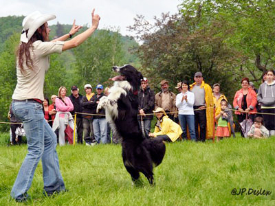 Spectacle de Freestyle Canin Bromont 2011