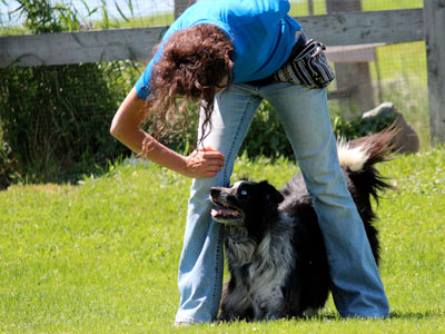  Freestyle Canin à Magog