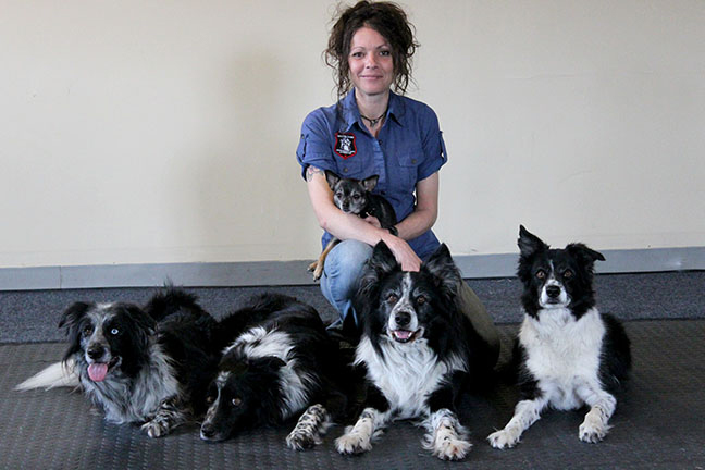 Karyne Millette et ses chiens border collie couchés en parfait respect