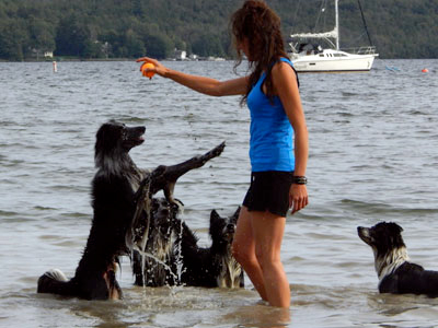 Karyne Millette Maître chien et ses border collie