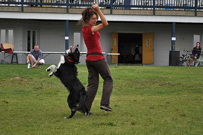 Freestyle canin avec Karyne