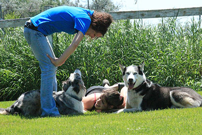 cours obéissance chien