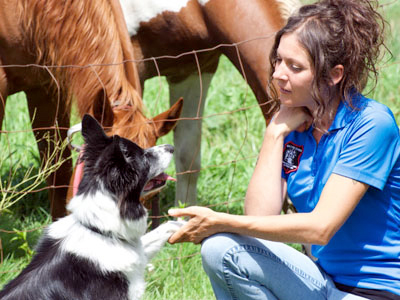 Karyne Milette et sa border collie