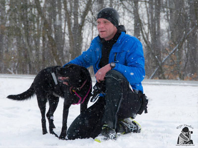 canicross, un chien heureux